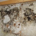 Can Dirty Air Ducts Lead to Mold Growth? - A Guide to Cleaning and Prevention