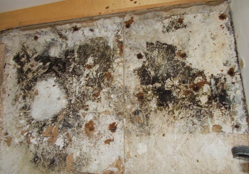 Can Dirty Air Ducts Lead to Mold Growth? - A Guide to Cleaning and Prevention